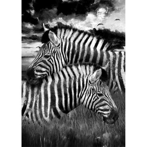 Zebras